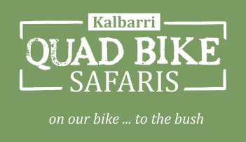 Quad Bike Safaris
